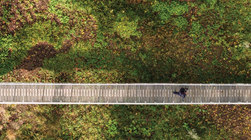 Discover Nature Anew At This Park Designed By SOA Architekti