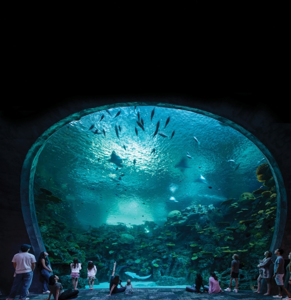 Seattle Aquarium’s New Addition Speaks To Sustainability